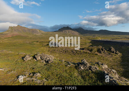 Landscape with wooly moss of Iceland. The moss is a predominant part of the wild vegetation & usually the first to colonize newly run lava, covering t Stock Photo