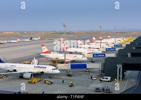 Wien Vienna airport, pier Nord (North), aircraft, plane, Austrian airlines Stock Photo