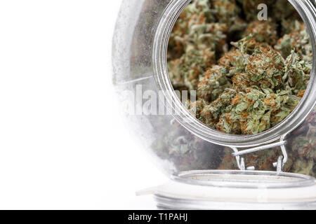 large storage glass jar filled with cannabis buds on a white background Stock Photo