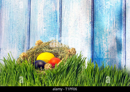 Ester Eggs in handmade grass nest on fresh green grass with shadow of bunny on wooden background Stock Photo