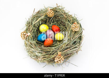 colored easter quail eggs in grass nest with bumps Stock Photo
