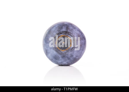 One whole fresh sweet purple blueberry american isolated on white background Stock Photo