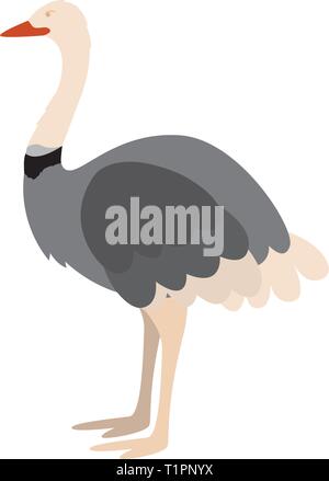 isolated cute ostrich Stock Vector