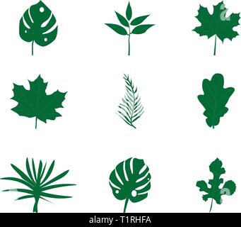 Set of green leaves isolated on white background. Flat style Stock Vector