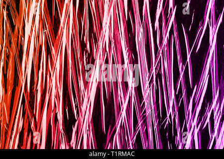 Trendy black contast texture with orange pink gradient. Duotone effect. Stock Photo