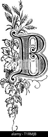 Vintage antique line drawing or engraving of decorative capital letter B with floral ornament or embellishment around. From Biblische Geschichte des alten und neuen Testaments, Germany 1859. Stock Vector