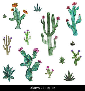 Watercolor set of cacti and succulent plants isolated on white ...