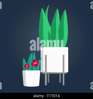 Indoor green plants in white flower pots, planters, and plant stand - houseplants vector illustration Stock Vector