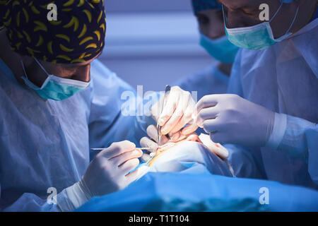 Surgical team performing surgery in modern operation theater,Team of doctors concentrating on a patient during a surgery,Team of doctors working Stock Photo