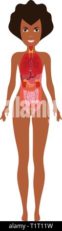 Medical poster depicting human anatomy internal organs on white background flat vector illustration Stock Vector