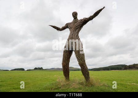 A tall wicker man structure stands with outstretched arms in a rural field in Dumfries and Galloway, Scotland Stock Photo