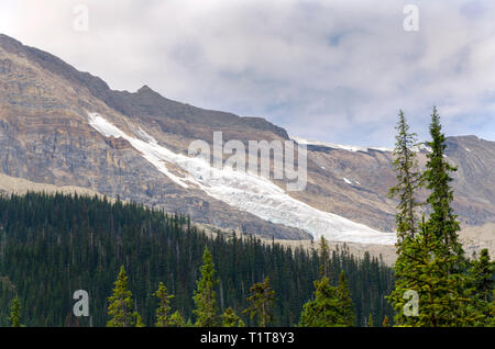 takakkaw falls in Yoho national park in Canada Stock Photo