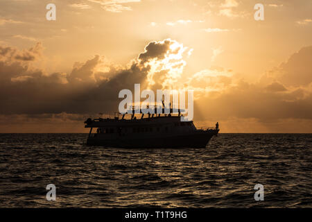A beautiful, bright sunrise silhouettes a whale watching boat in a remote part of the Caribbean Sea. Stock Photo