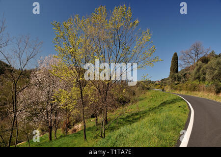 Mountain road in spring Tuscany. Stock Photo