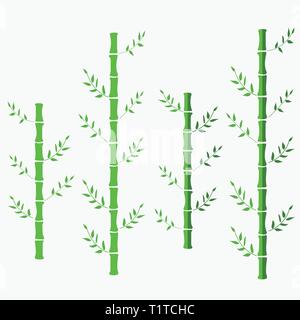 Bamboo vector flat illustration. green oriental chinese bamboo. bamboo on white isolated background Stock Vector