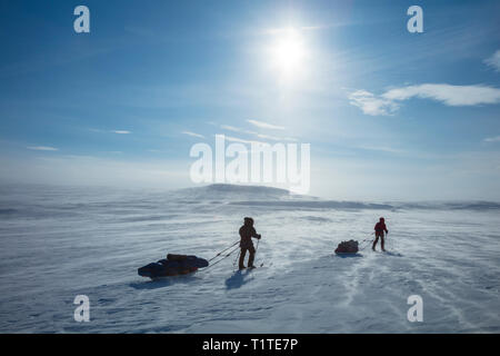 Cross country ski touring group crossing the Finnmarksvidda Plateau ...