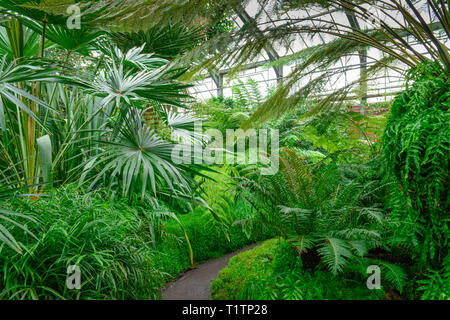 Glasshouse Of Botanical Garden Or Botanischer Garten Berlin With