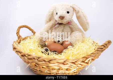 Rabbit soft toy in a basket of fresh eggs Stock Photo