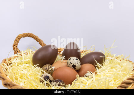 Easter eggs in the farm eggs parnier Stock Photo