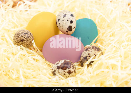 Easter and its eggs colored and painted in the straw Stock Photo