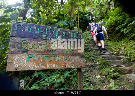 Colombia: Ciudad Perdida. Group of tourists walking up the stone stairs leading to the archeological site of an ancient city in Colombia's Sierra Neva Stock Photo