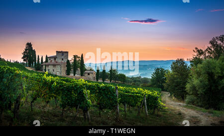 Panorama of Tuscan vineyard covered in fog at the dawn near Castellina in Chianti, Italy. Stock Photo