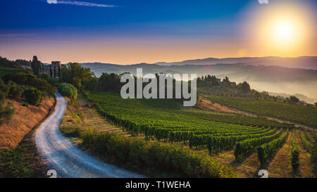 Panorama of Tuscan vineyard covered in fog at the dawn near Castellina in Chianti, Italy. Stock Photo