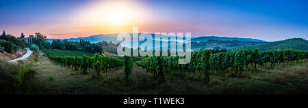 Panorama of Tuscan vineyard covered in fog at the dawn near Castellina in Chianti, Italy. Stock Photo