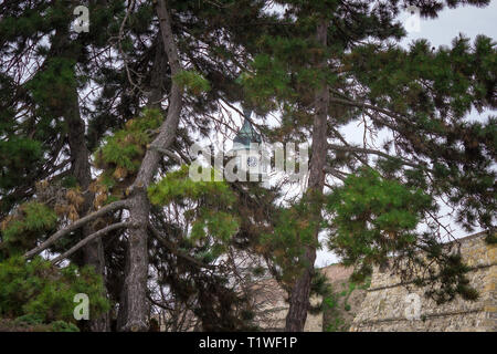 Framed view through the pine trees branches of a clock on famous Sahat kula in Belgrade fortress Kalemegdan Stock Photo