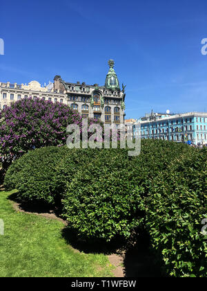 The concept of spring and bloom. Beautiful purple lilac in an urban environment against the background of the house of the company Singer. A branch of Stock Photo