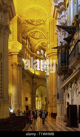 Malaga Cathedral Interior -people in Catedral de Malaga; Malaga, Andalusia Spain Europe Stock Photo