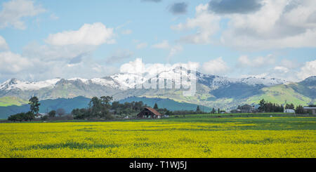 santa ana mountain range of hollister california in the winter snow capped mountains in the spring with flowers in the foreground Stock Photo