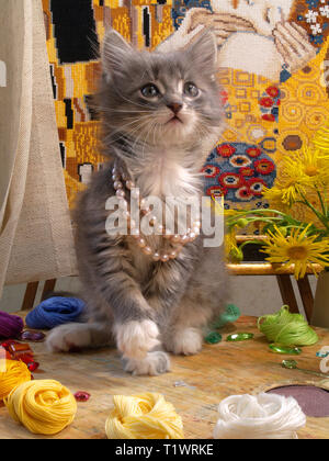The gray kitten in a beads sits on a palette with multi-colored threads for embroidery. Stock Photo