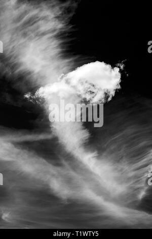Black & white view of unusual cloud formations against clear cobalt blue sky; central Colorado, USA Stock Photo