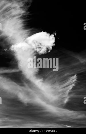 Black & white view of unusual cloud formations against clear cobalt blue sky; central Colorado, USA Stock Photo