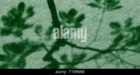 Abstract shadow of tree on artificial grass in public park Stock Photo