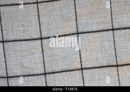 Top view of the texture of gray fabric in a large cage Stock Photo