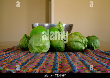 A pile of green tomatillos (Physalis philadelphica) on a colorfully patterned fabric; tomatillos with husks; peeled tomatillos. Stock Photo