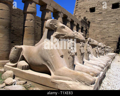 Egypt, Luxor - 07.26.2010: Small alley of the ram-headed sphinxes in front of the Karnak temple in Luxor. Historical monuments of antiquity. Sights of Stock Photo