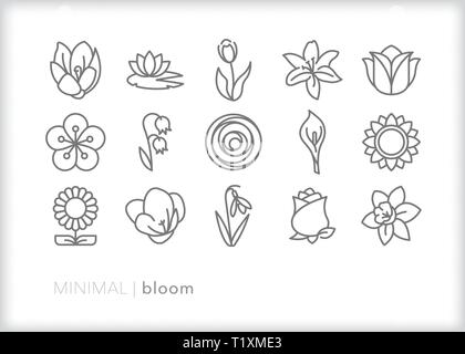 Set of 15 bloom line icons of various types of flowers in bloom Stock Vector