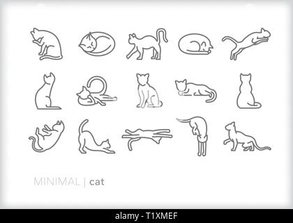 Set of 15 cat line icons of feline pets in various poses of relaxation and activity Stock Vector