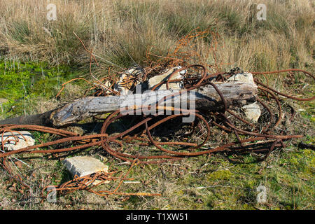 rusty cables, concrete and iron bars dumped in nature Stock Photo