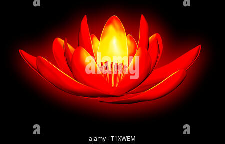 x-ray image of a flower  isolated on black, the lotus 3d illustration Stock Photo