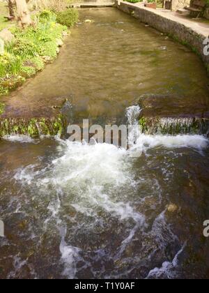 dyserth,uk Dyserth Falls in springtime credit Ian fairbrother/Alamy stock news Stock Photo