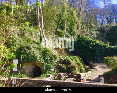 dyserth,uk Dyserth Falls in springtime credit Ian fairbrother/Alamy stock news Stock Photo