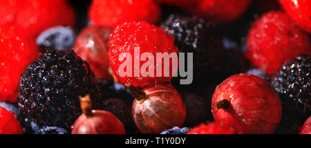 Close up view of red and black raspberry on background of blueberries and gooseberries. Fresh berries assortment. Ripe and juicy fresh raspberries clo Stock Photo