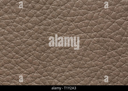 Impressively leather texture in stylish grey tone. Stock Photo