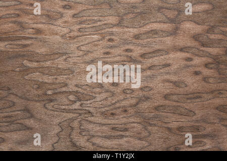 Unusual new veneer texture in stylish colour. Stock Photo