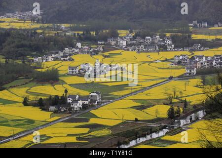 Huangshan. 28th Mar, 2019. Photo taken on March 28, 2019 shows cole flowers at Kecun Township in Yixian County of Huangshan City, east China's Anhui Province. Credit: Shi Guangde/Xinhua/Alamy Live News Stock Photo