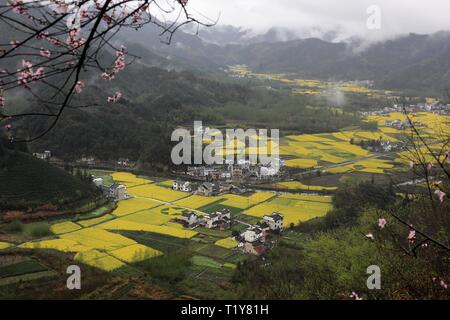 Huangshan. 28th Mar, 2019. Photo taken on March 28, 2019 shows cole flowers at Kecun Township in Yixian County of Huangshan City, east China's Anhui Province. Credit: Shi Guangde/Xinhua/Alamy Live News Stock Photo